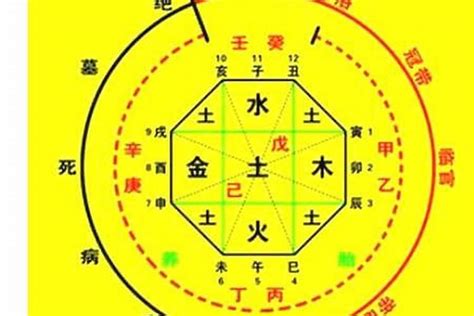 八字怎么看|生辰八字算命、五行喜用神查询（免费测算）